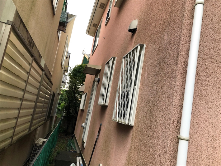 苔の発生